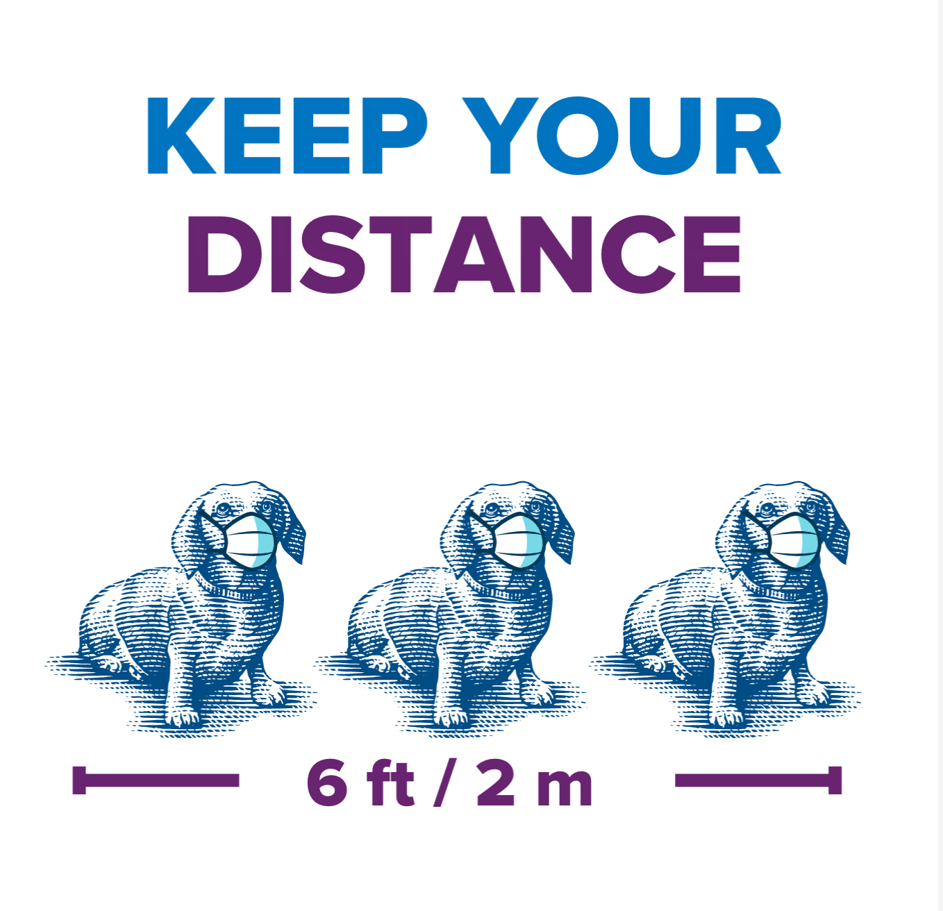 Keep Your Distance - 6 feet / 2 meters / 3 dachshunds