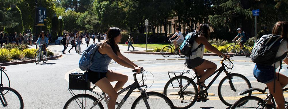 Students bicycling through traffic circle.